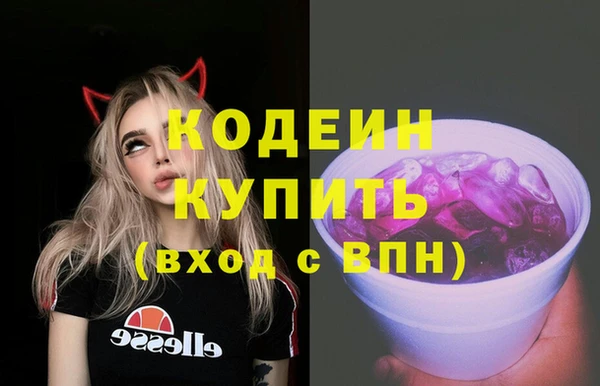 крисы Богородицк