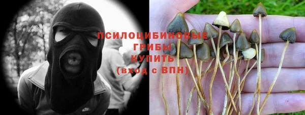 крисы Богородицк