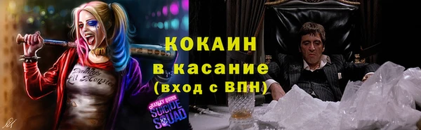 крисы Богородицк