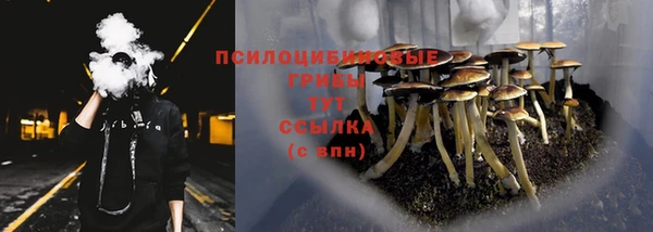 эйфоретик Богданович