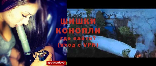 эйфоретик Богданович