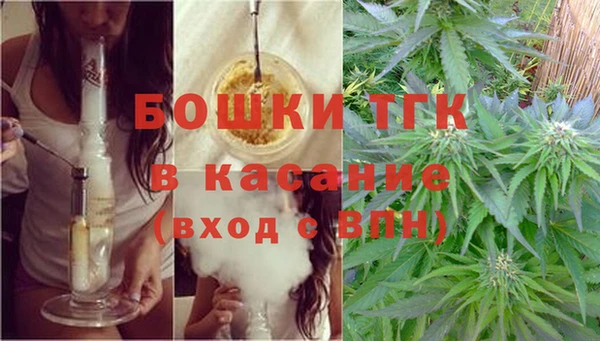 крисы Богородицк
