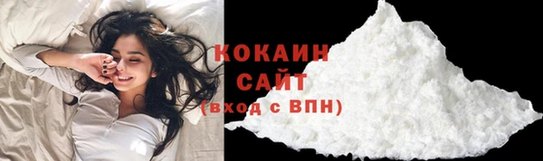 крисы Богородицк
