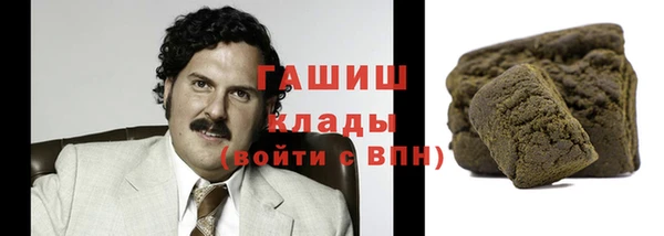 крисы Богородицк