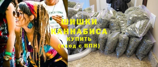 эйфоретик Богданович