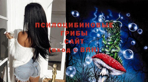 эйфоретик Богданович