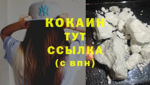 крисы Богородицк