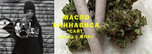 крисы Богородицк