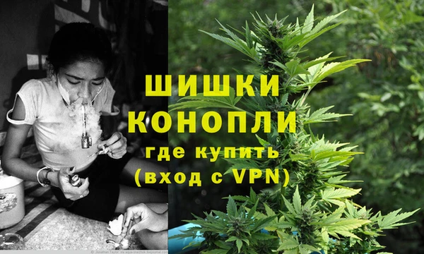 крисы Богородицк