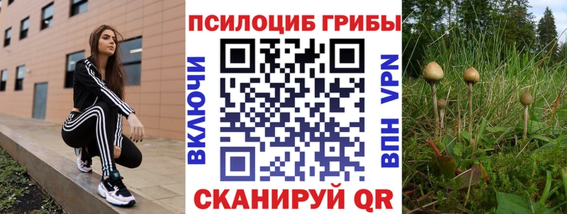 Галлюциногенные грибы GOLDEN TEACHER  Ессентукская 